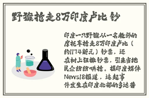 国产精品国产三级国产三不